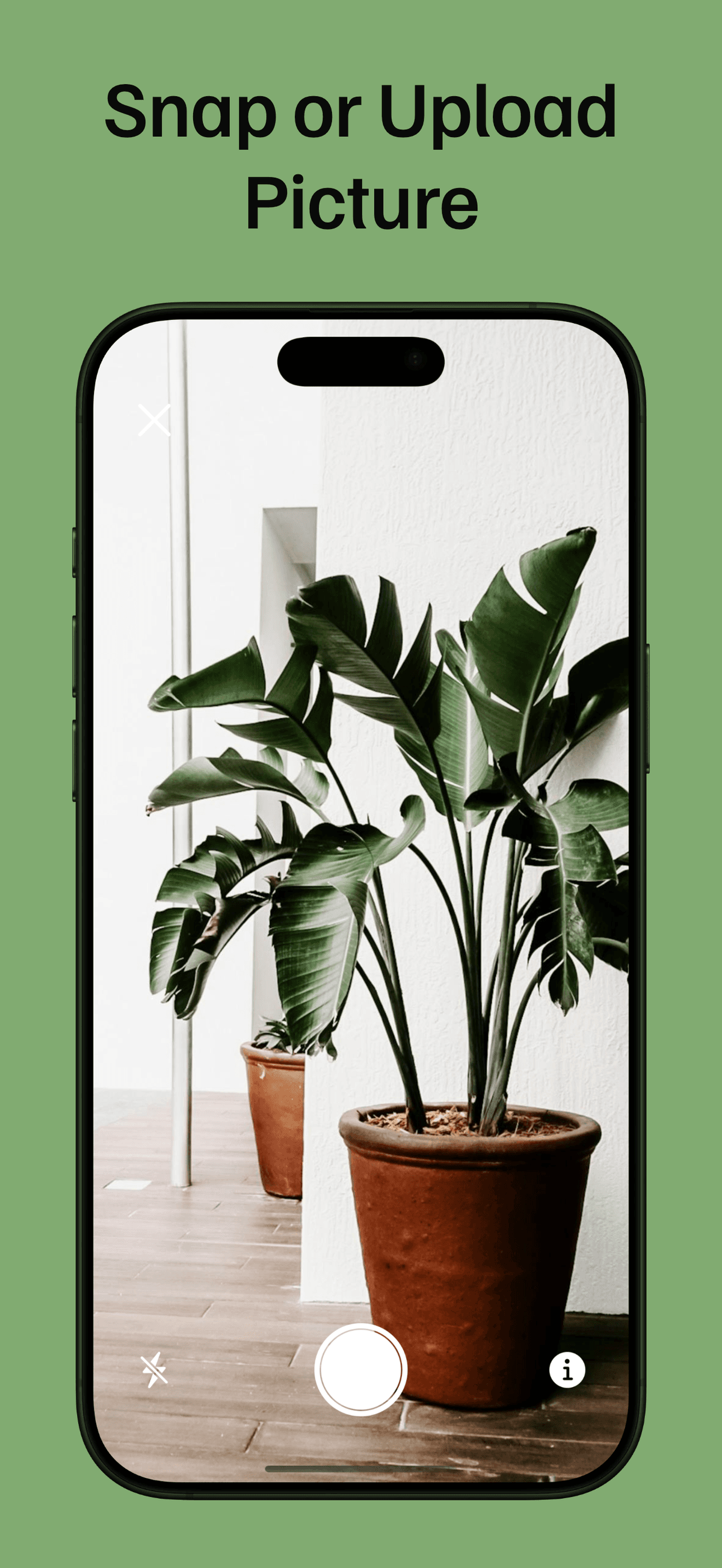 PlantLore Screenshot 1