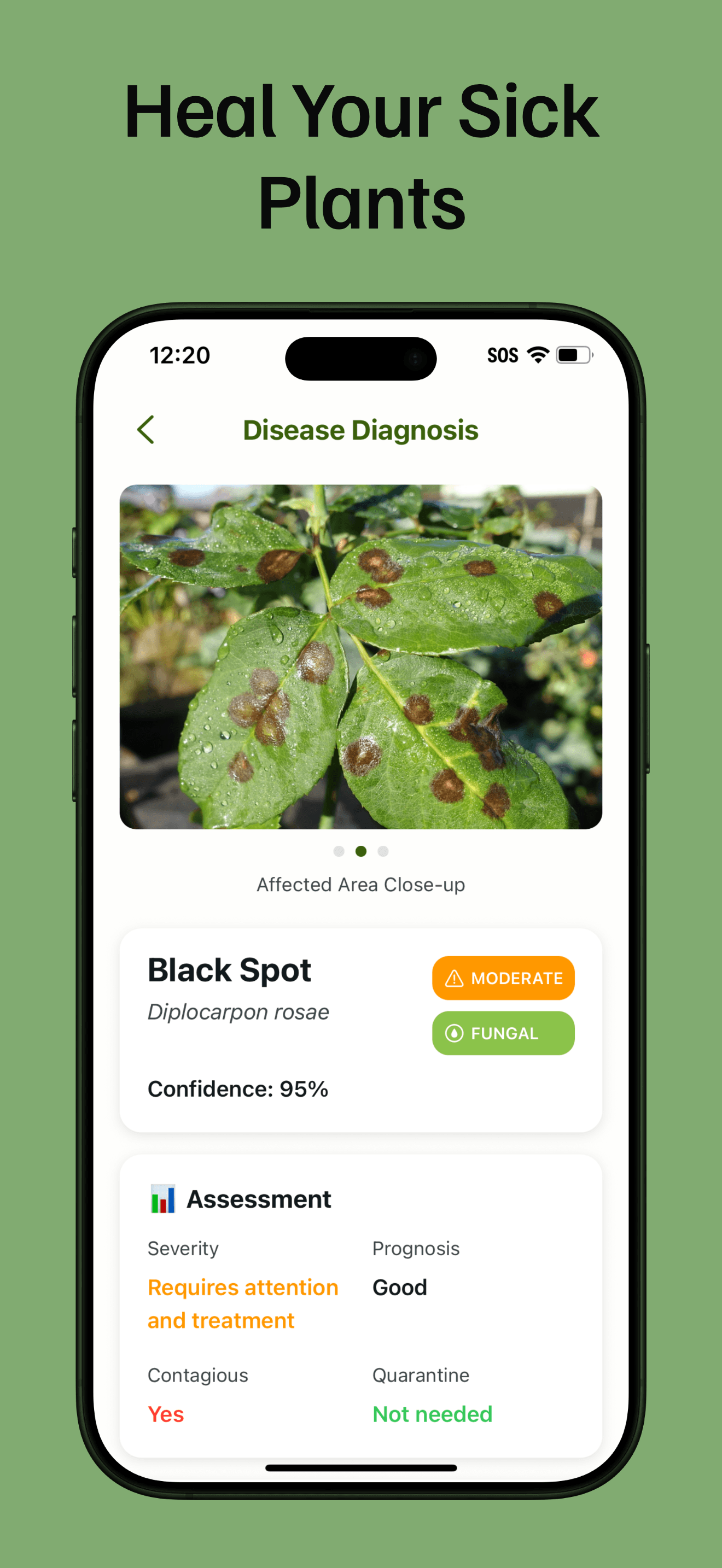 Heal Your Sick Plants