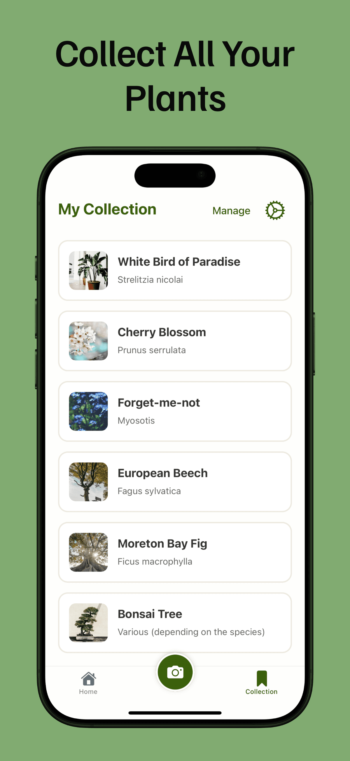 PlantLore Screenshot 4