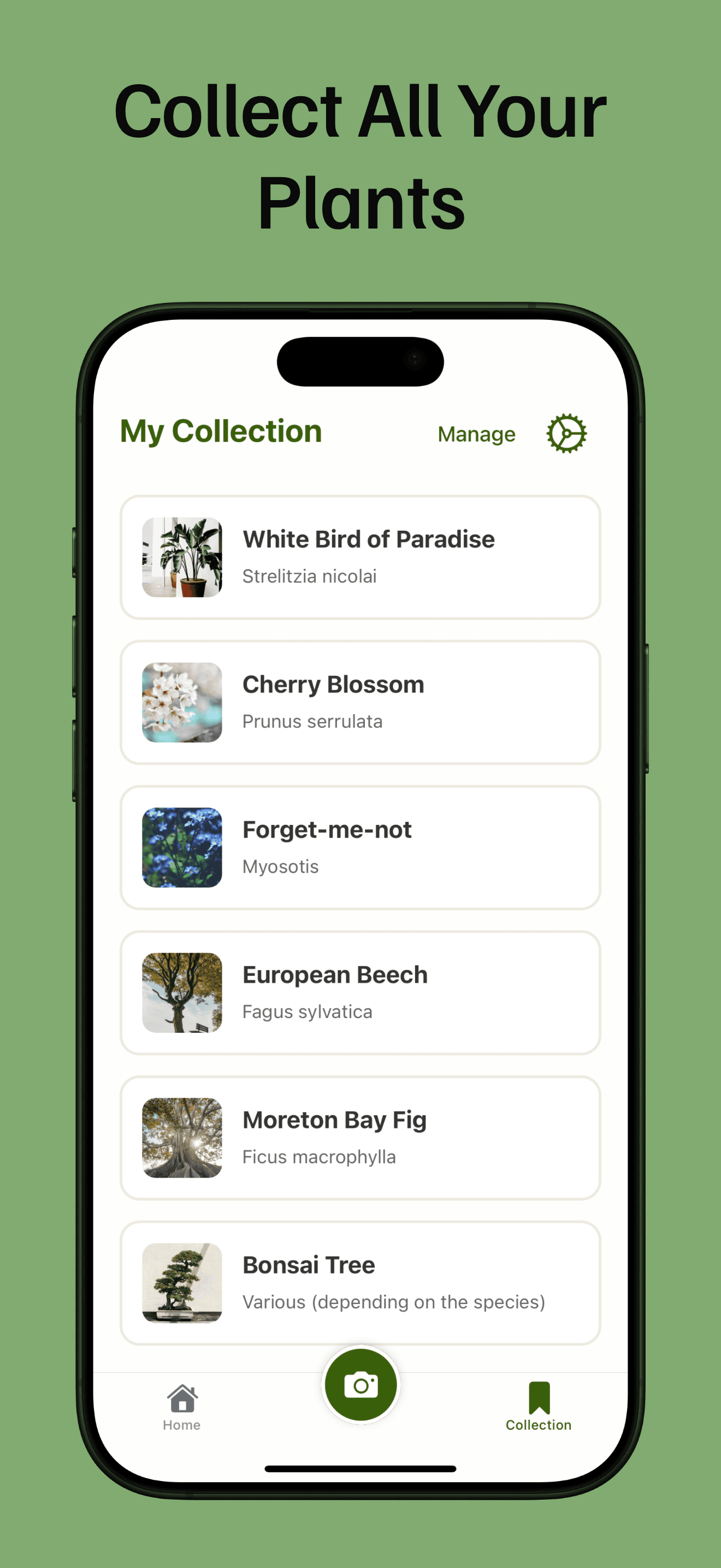 Build Your Digital Plant Collection